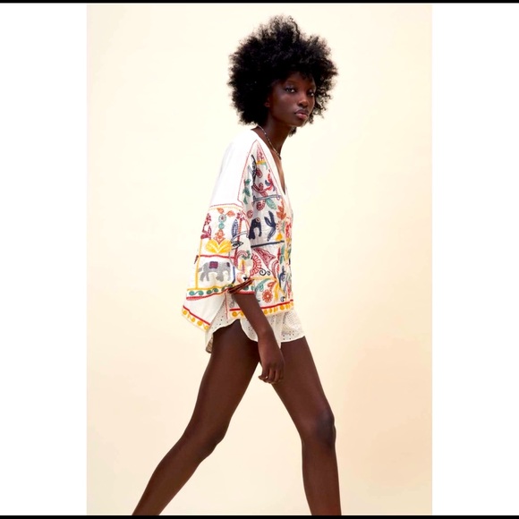 NWT ZARA EMBROIDERED V-NECK TOP - Picture 3 of 6